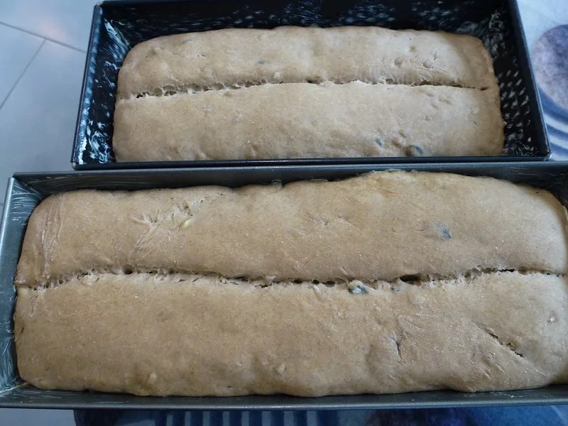 Kasten-Mischbrot - Rezept - Bild Nr. 8842