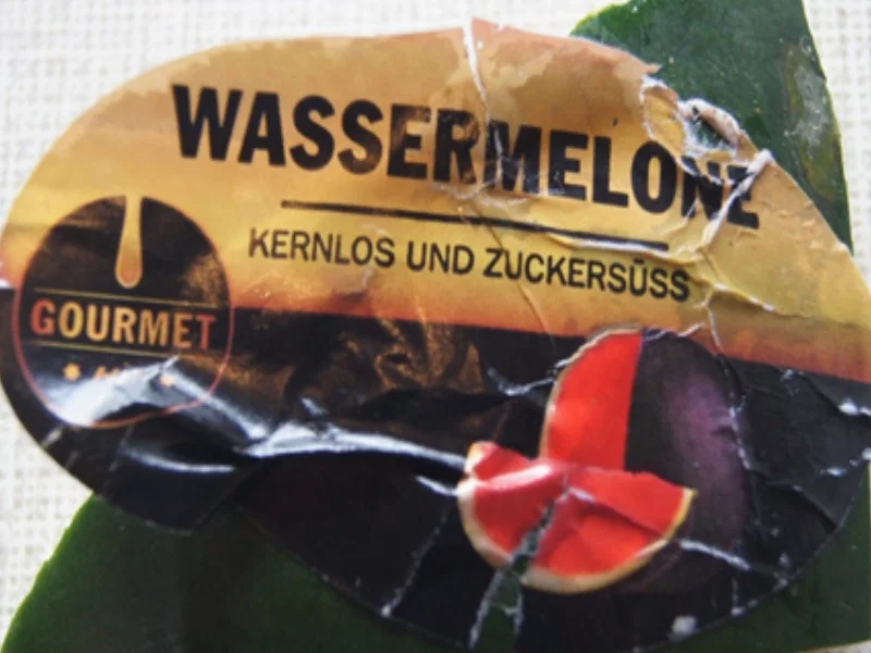 Rezept: Melonen Shake Bild Nr. 4 Melonen Shake - Rezept - Bild Nr. 4