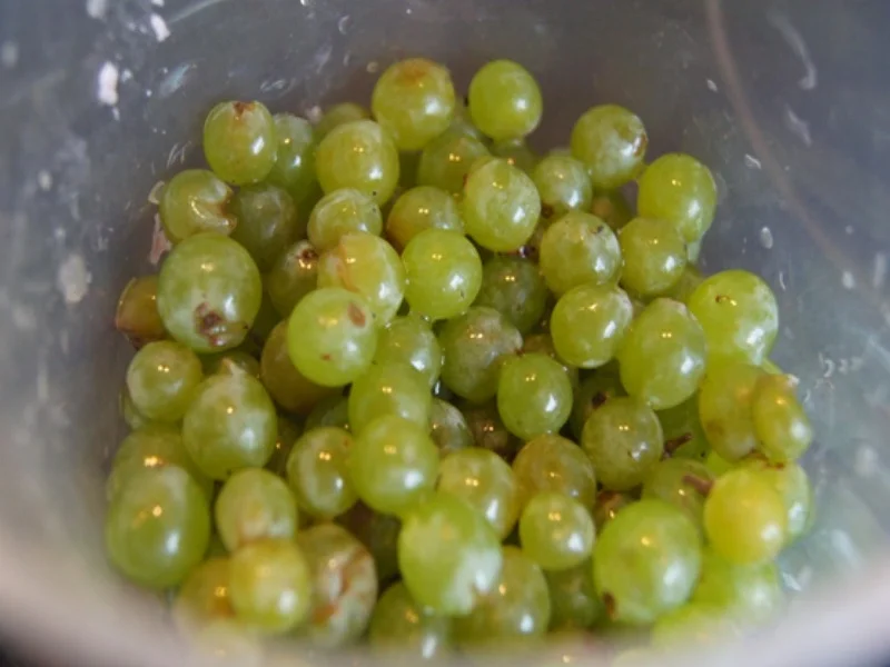 Rezept: Jogurt-Weintrauben-Shake Bild Nr. 3 Jogurt-Weintrauben-Shake - Rezept - Bild Nr. 3