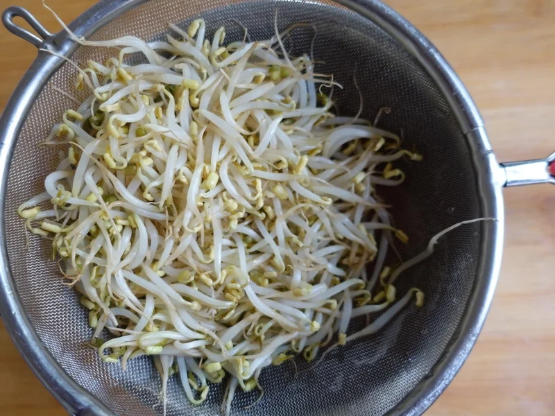 Eier auf Balado Art mit Mungokeimlingen und Erdnusssambal - Rezept - Bild Nr. 8859