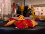 Curry-Eis mit heimischem Räucherfisch in knuspriger Samosa - Rezept - Bild Nr. 8862