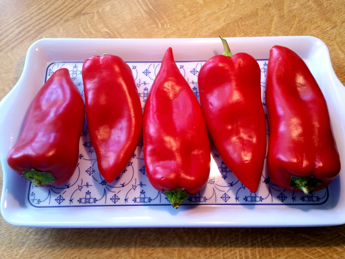 Rezept: Spitzpaprika - mediterran Bild Nr. 8866 Spitzpaprika - mediterran - Rezept - Bild Nr. 8866