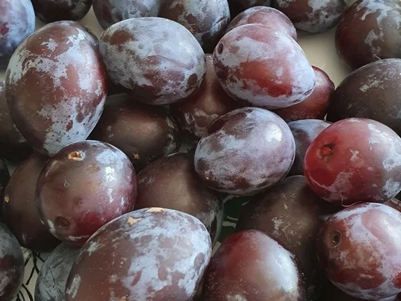 Aachener Pflaumenmus = Kochbar Challenge 9.0 (September 2019) - Rezept - Bild Nr. 3