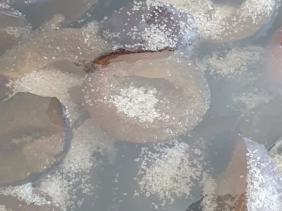 Aachener Pflaumenmus = Kochbar Challenge 9.0 (September 2019) - Rezept - Bild Nr. 6