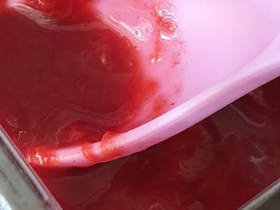 Aachener Pflaumenmus = Kochbar Challenge 9.0 (September 2019) - Rezept - Bild Nr. 8