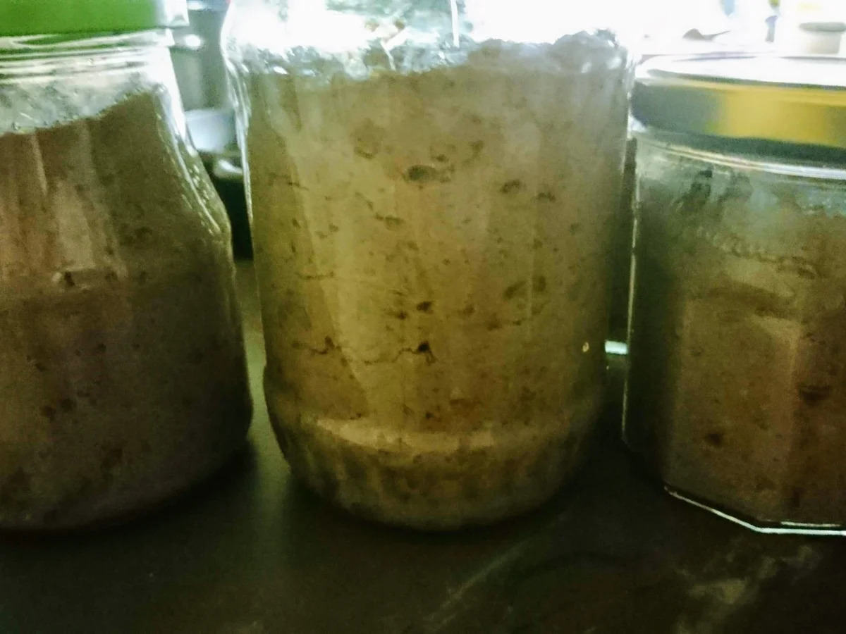 Leberwurst im Glas - Rezept - Bild Nr. 8869