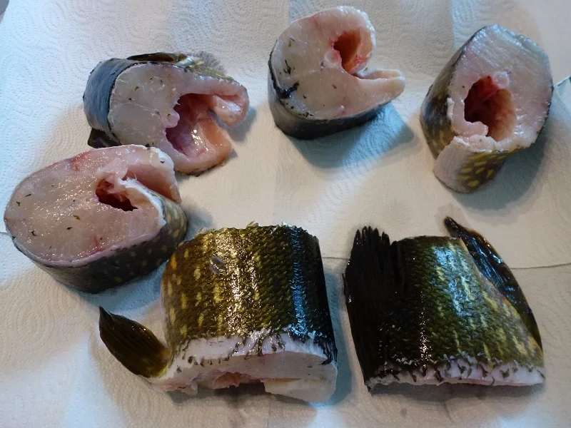 Hechtkotlett in der Pfanne gebraten - Rezept - Bild Nr. 8875