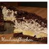 BiNe` S MAULWURFKUCHEN - Rezept - Bild Nr. 8887