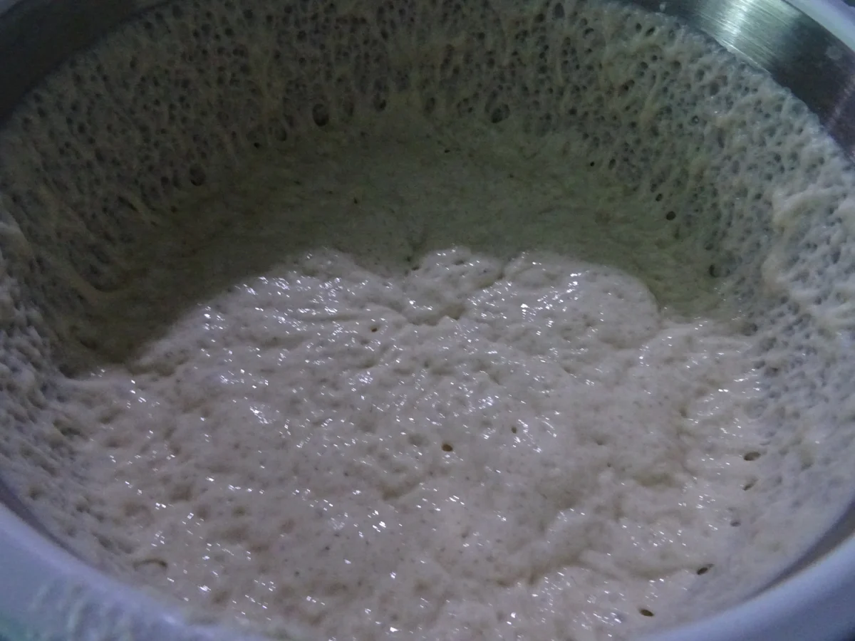 Ciabatta - Rezept - Bild Nr. 8877