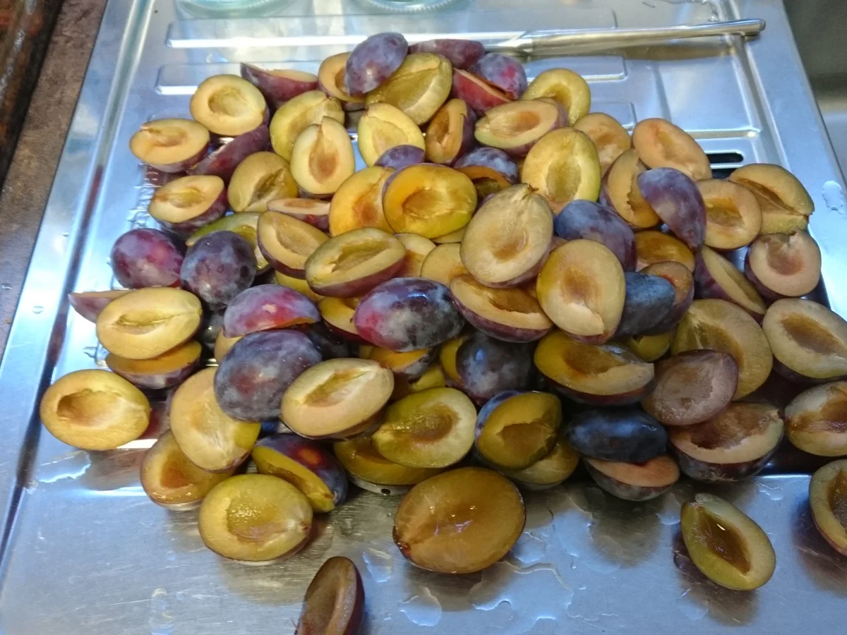 Zwetschgenkuchen mit Haselnusskern Boden - Rezept - Bild Nr. 8906