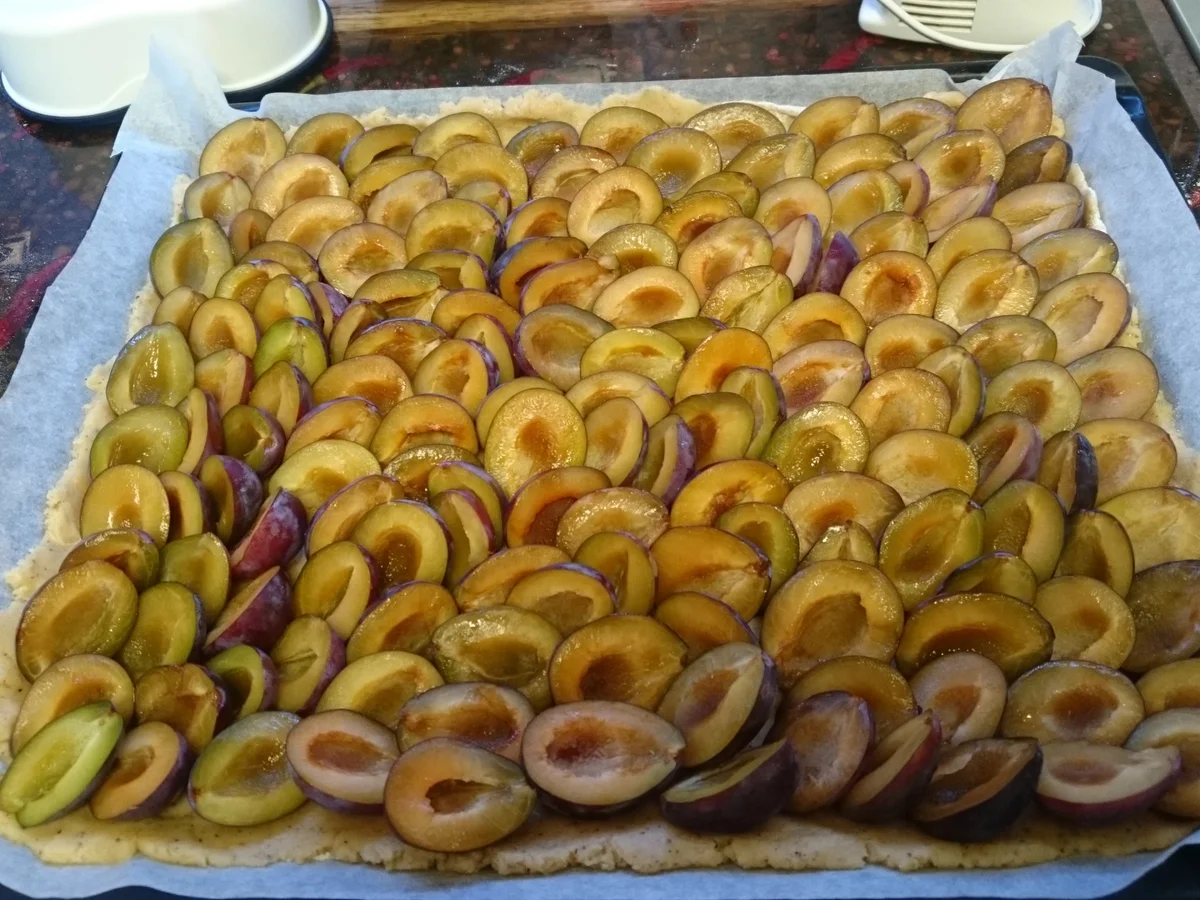 Zwetschgenkuchen mit Haselnusskern Boden - Rezept - Bild Nr. 8906