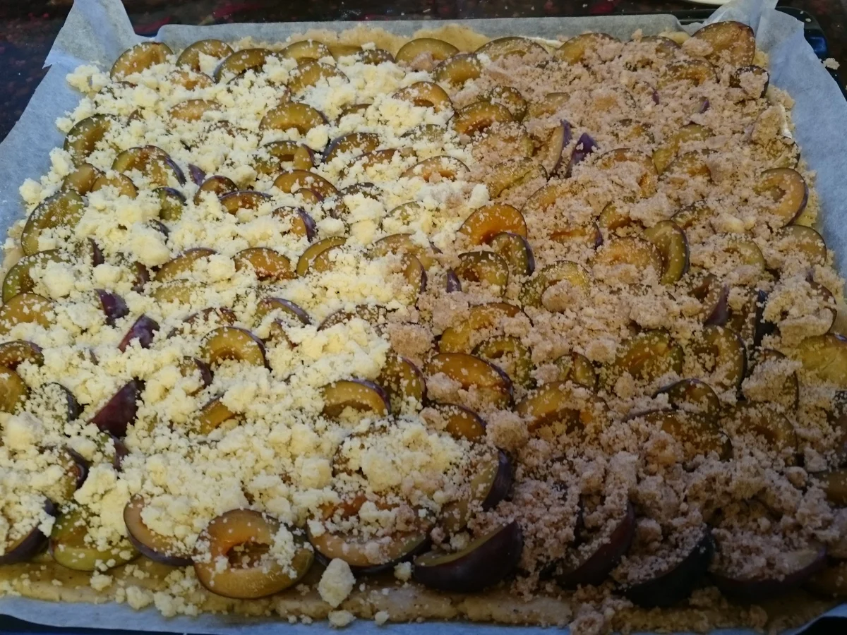 Zwetschgenkuchen mit Haselnusskern Boden - Rezept - Bild Nr. 8906