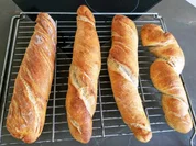 Brotwurzel oder Pané Pagnol - Rezept - Bild Nr. 2