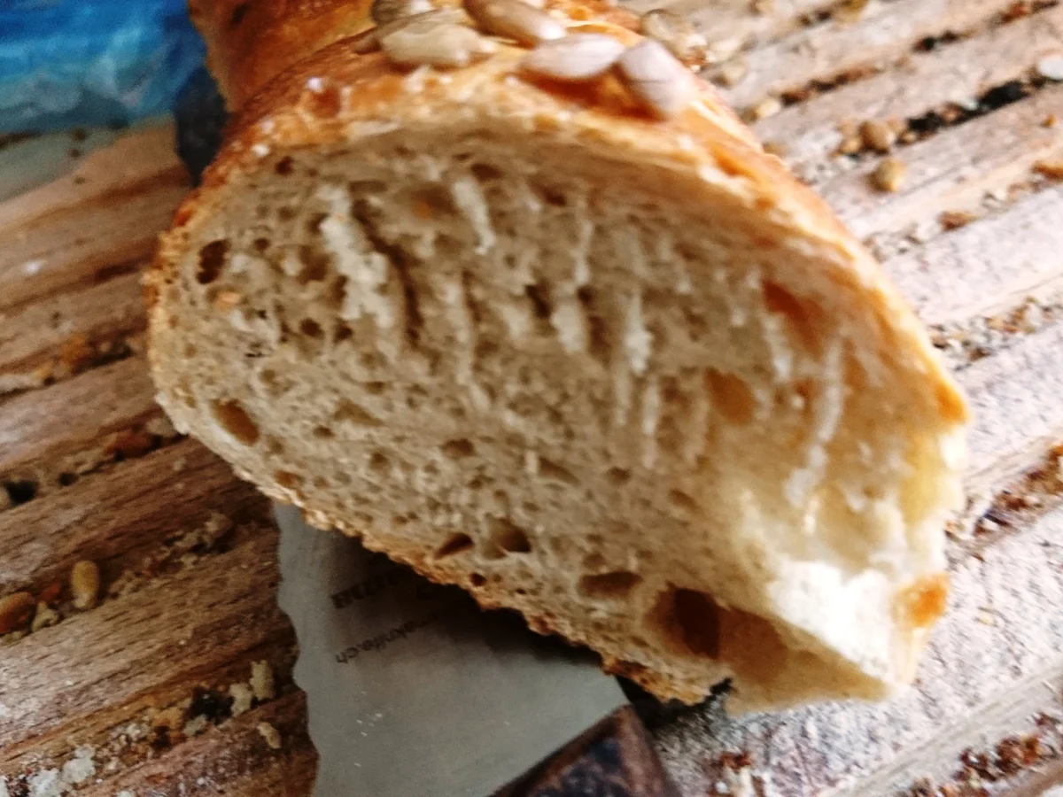 Brotwurzel oder Pané Pagnol - Rezept - Bild Nr. 3