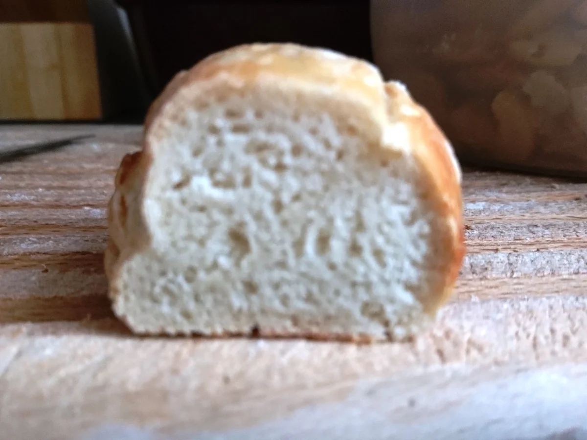 Brotwurzel oder Pané Pagnol - Rezept - Bild Nr. 4