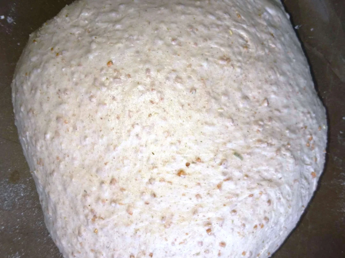 Schwäbische Seelen mit Rezept für Weizensauerteig - Rezept - Bild Nr. 12