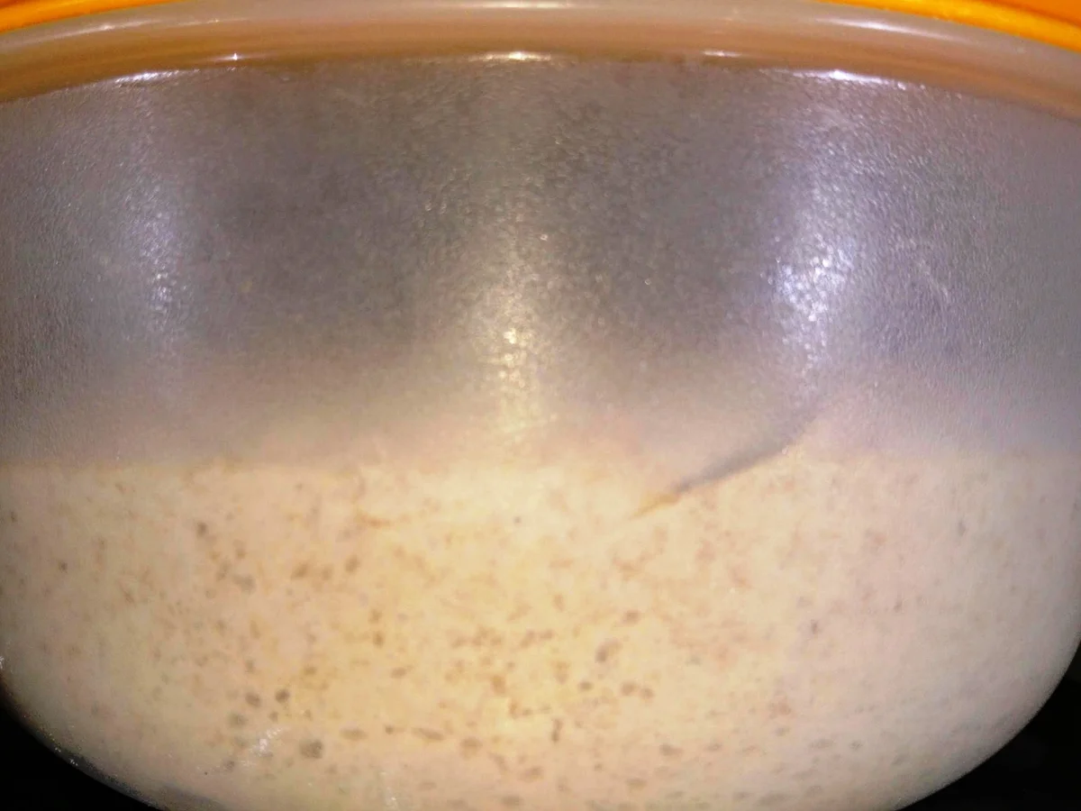 Rezept: Pane maggiore Bild Nr. 10 Pane maggiore - Rezept - Bild Nr. 10