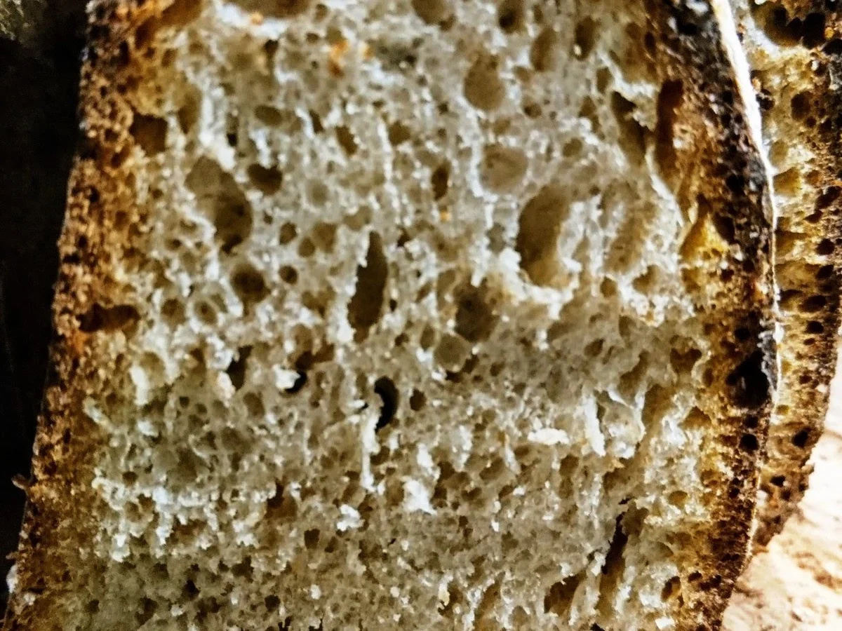 Rezept: Pane maggiore Bild Nr. 17 Pane maggiore - Rezept - Bild Nr. 17