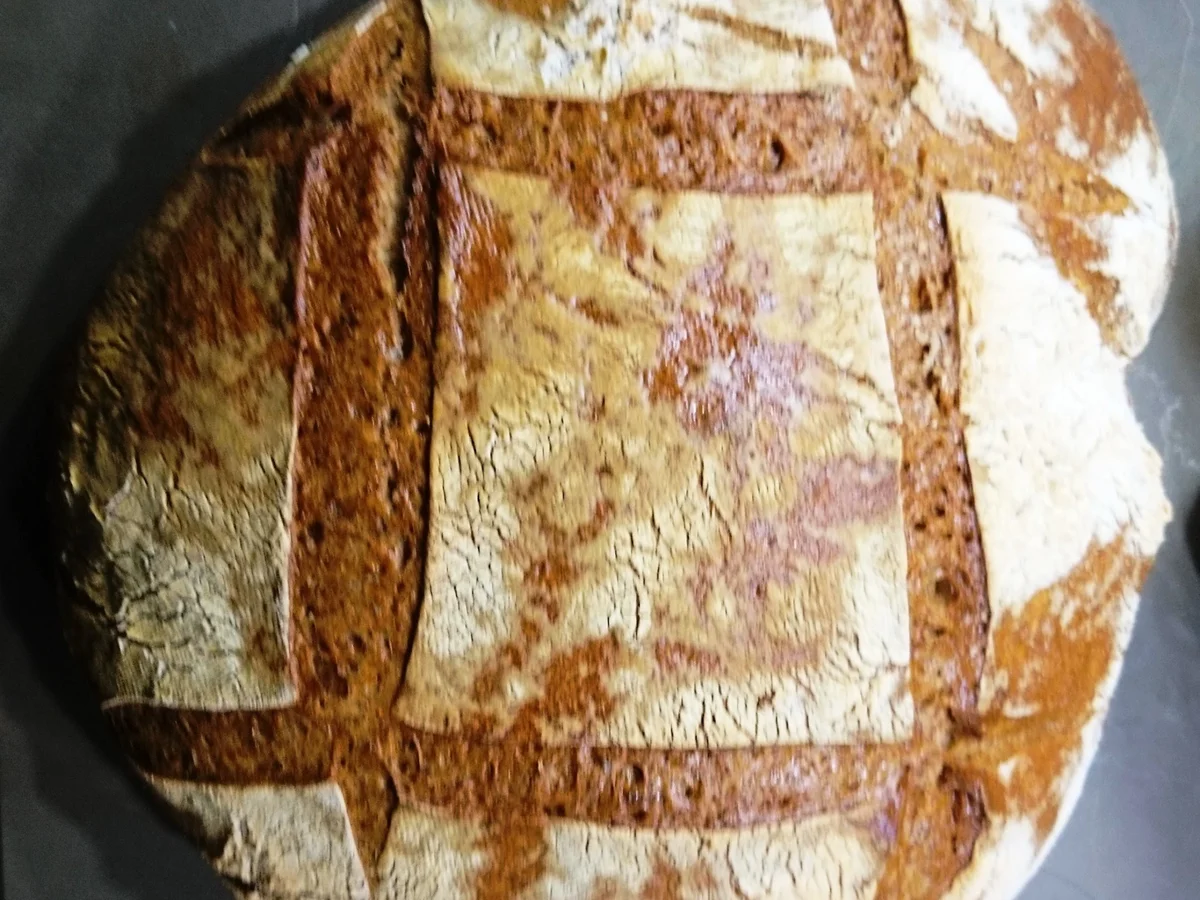 Rezept: Pane maggiore Bild Nr. 18 Pane maggiore - Rezept - Bild Nr. 18