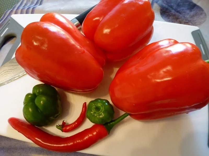 Rezept: Würziges Paparikagemüse Bild Nr. 5 Würziges Paparikagemüse - Rezept - Bild Nr. 5