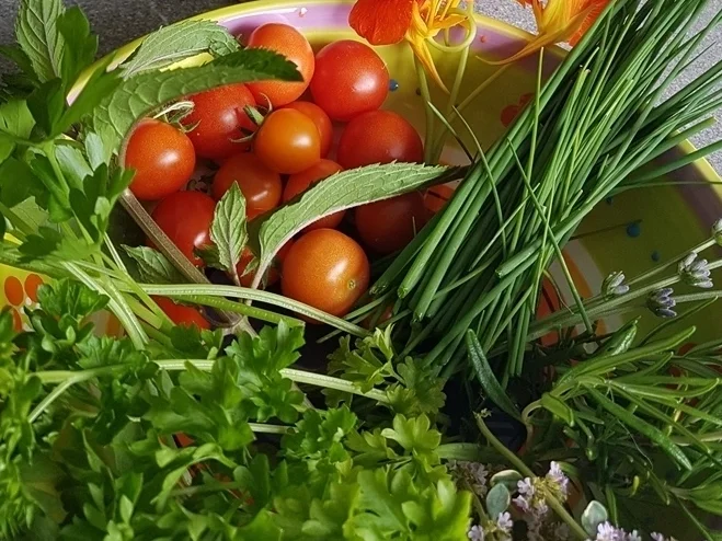 Rezept: Gemischter Salat zum Erntedank Bild Nr. 8995 Gemischter Salat zum Erntedank - Rezept - Bild Nr. 8995