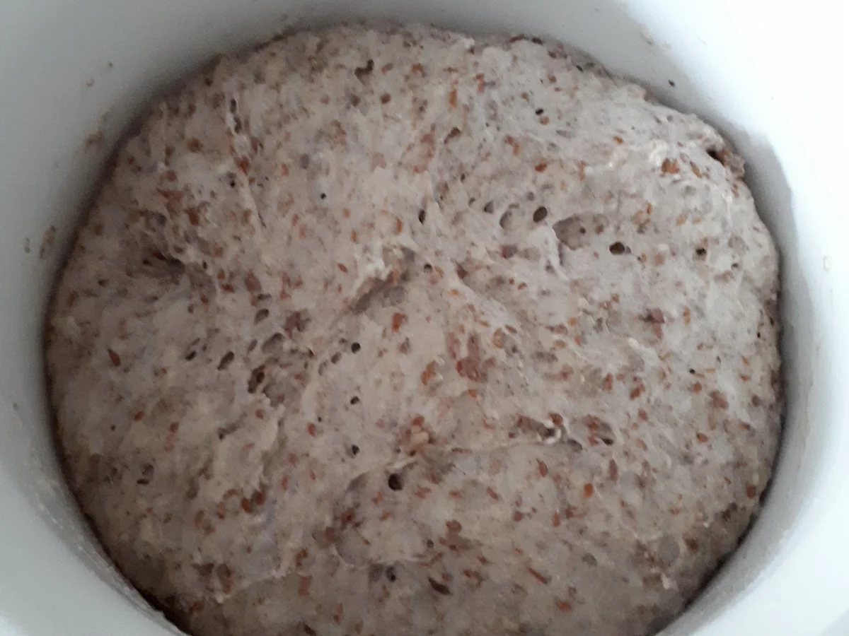 Rezept: Dinkel-Lein-Brot mit Flöhen Bild Nr. 3 Dinkel-Lein-Brot mit Flöhen - Rezept - Bild Nr. 3