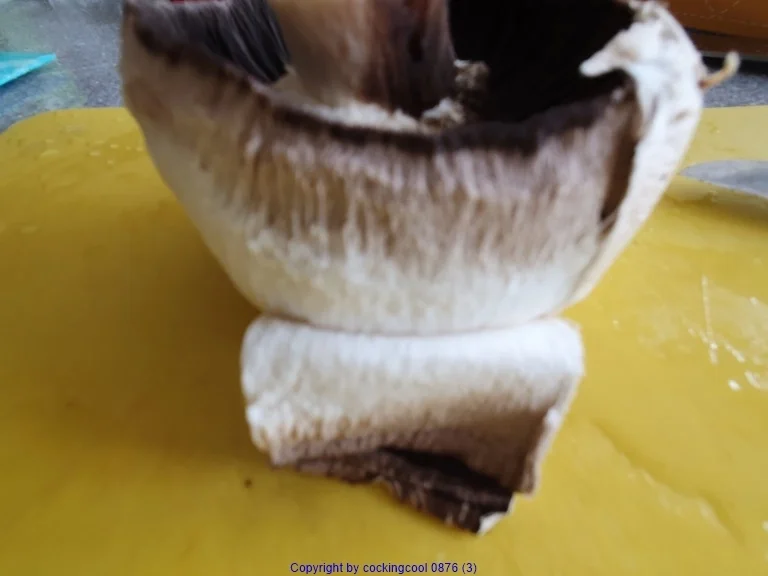 Rezept: Kleines Pilzgericht Bild Nr. 5 Kleines Pilzgericht - Rezept - Bild Nr. 5