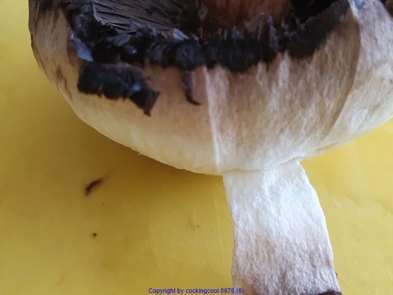 Rezept: Kleines Pilzgericht Bild Nr. 4 Kleines Pilzgericht - Rezept - Bild Nr. 4