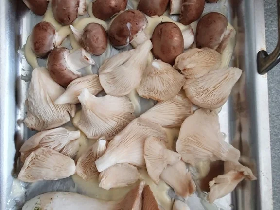 Rezept: Kleines Pilzgericht Bild Nr. 14 Kleines Pilzgericht - Rezept - Bild Nr. 14