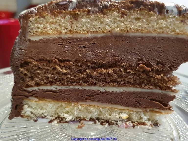 Schokowolken Torte oder Schokoträumchen - Rezept - Bild Nr. 10