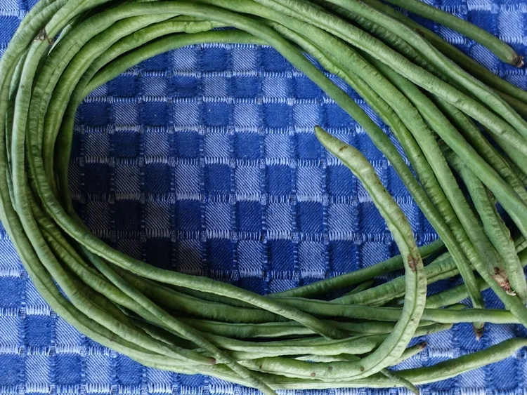 Exotischer Papaya-Salat Sanur Beach - Rezept - Bild Nr. 4