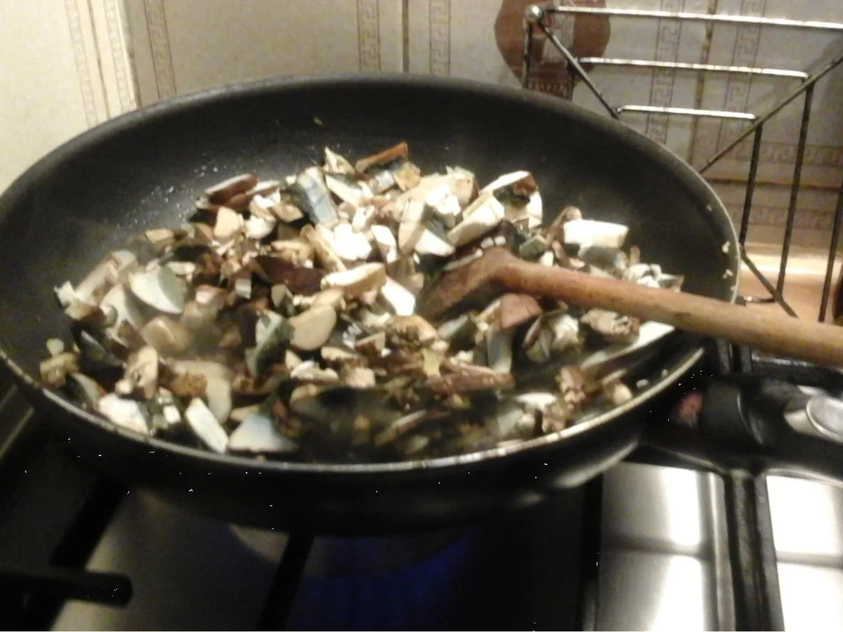 Waldpilzauflauf - Rezept - Bild Nr. 13