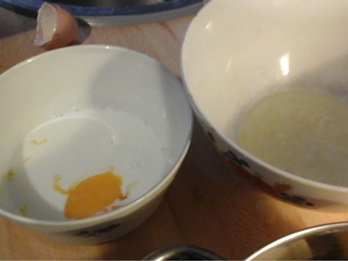 Waldpilzauflauf - Rezept - Bild Nr. 17