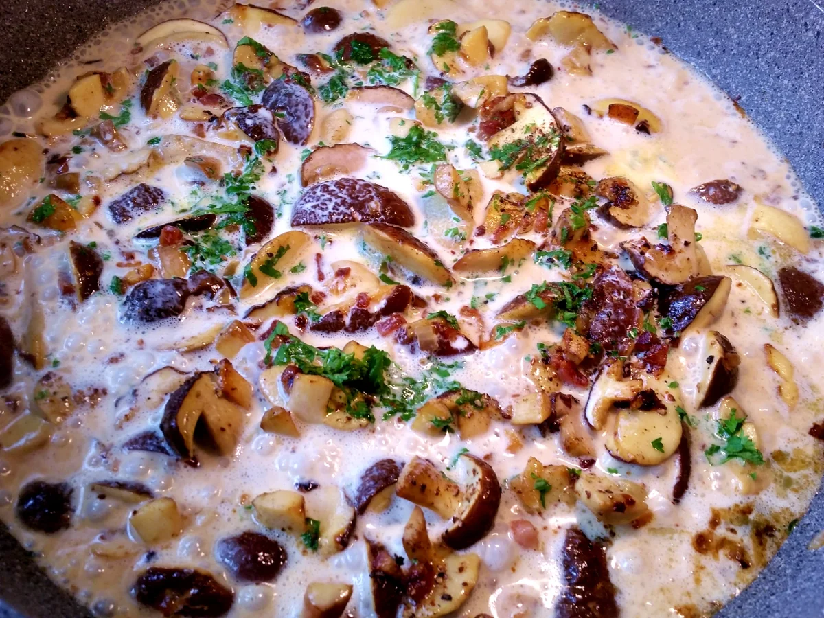 Waldpilze (heute Rotfussröhrlinge) - Rezept - Bild Nr. 9031