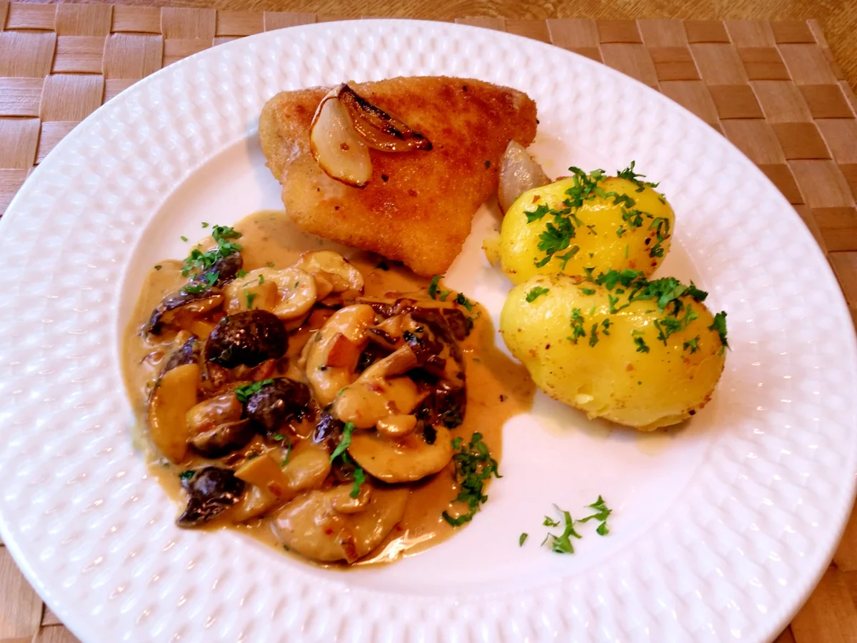 Waldpilze (heute Rotfussröhrlinge) - Rezept - Bild Nr. 9033