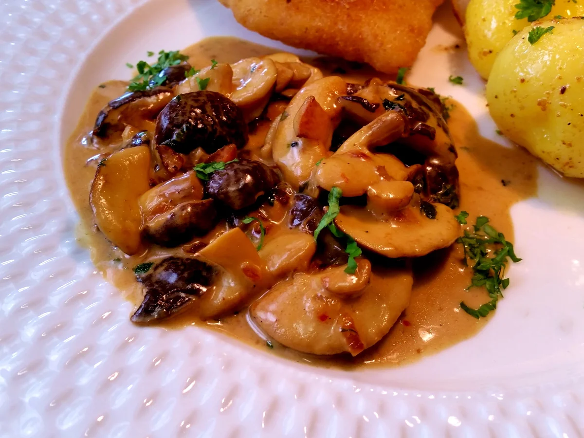 Waldpilze (heute Rotfussröhrlinge) - Rezept - Bild Nr. 9034