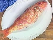 Rotbarbe in Joghurtmarinade - Rezept