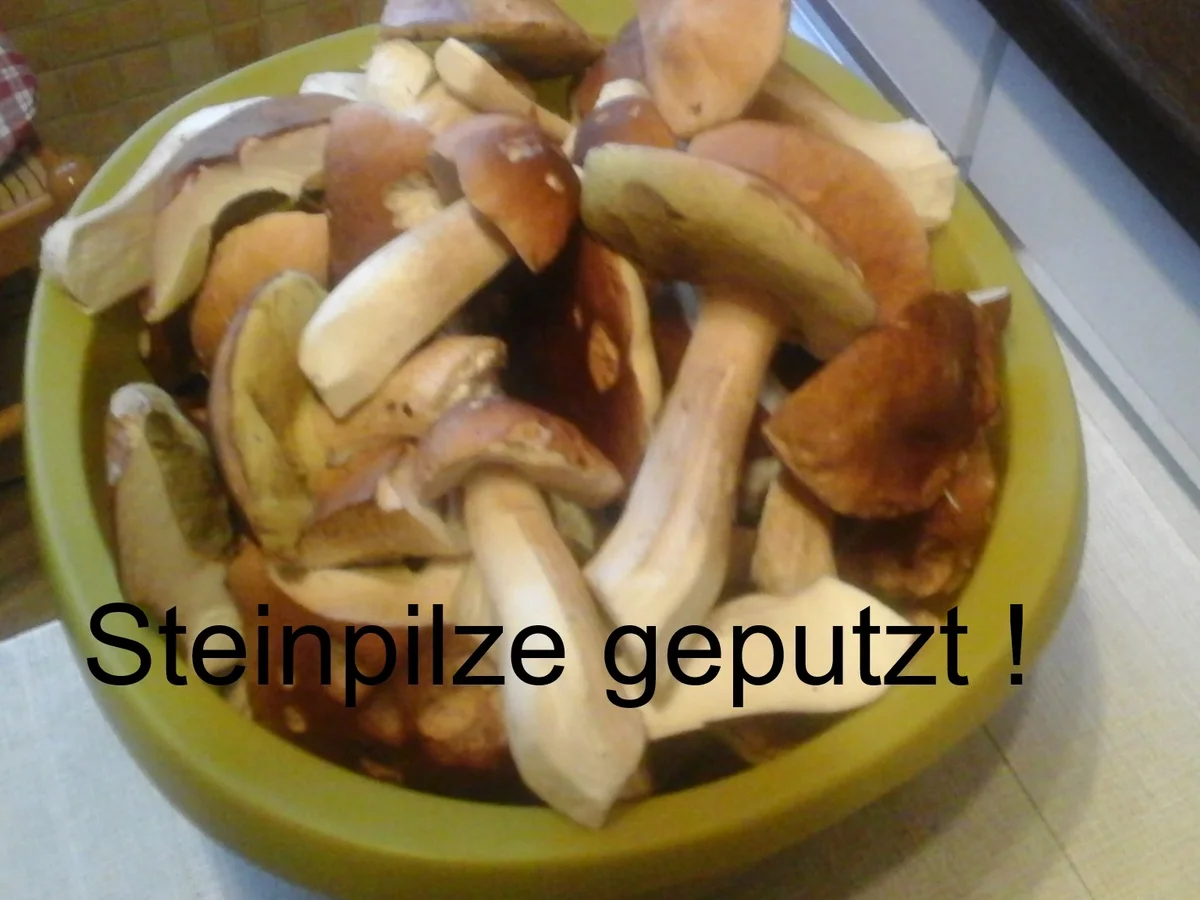 Pasta mit Steinpilzen - Rezept - Bild Nr. 4
