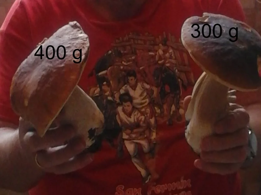 Paniertes Kotelett mit gebratenen Steinpilzen und Drillingen - Rezept - Bild Nr. 4