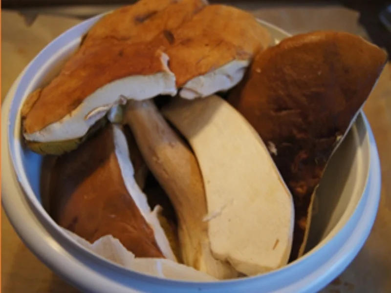 Pilze selbst konservieren - Rezept - Bild Nr. 3