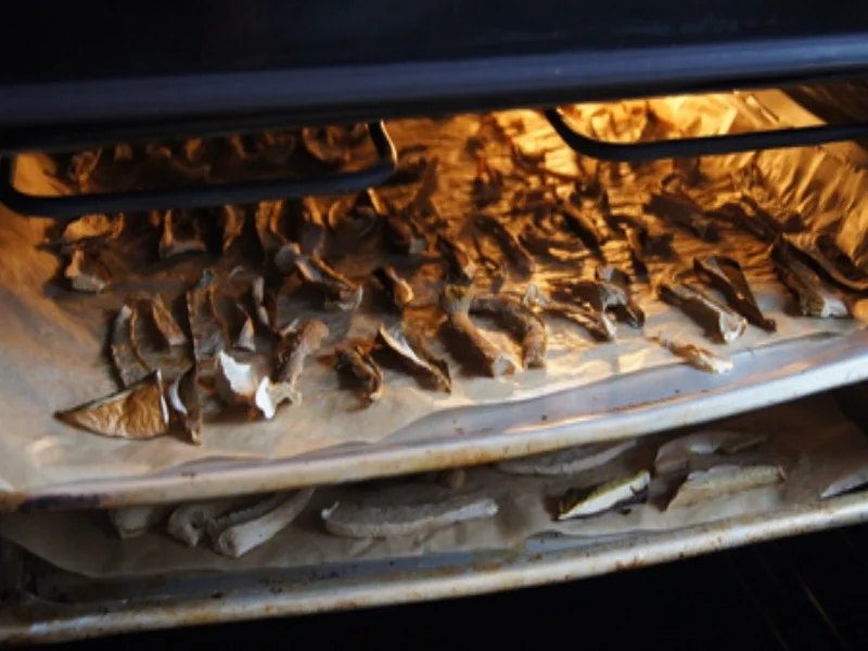 Pilze selbst konservieren - Rezept - Bild Nr. 6