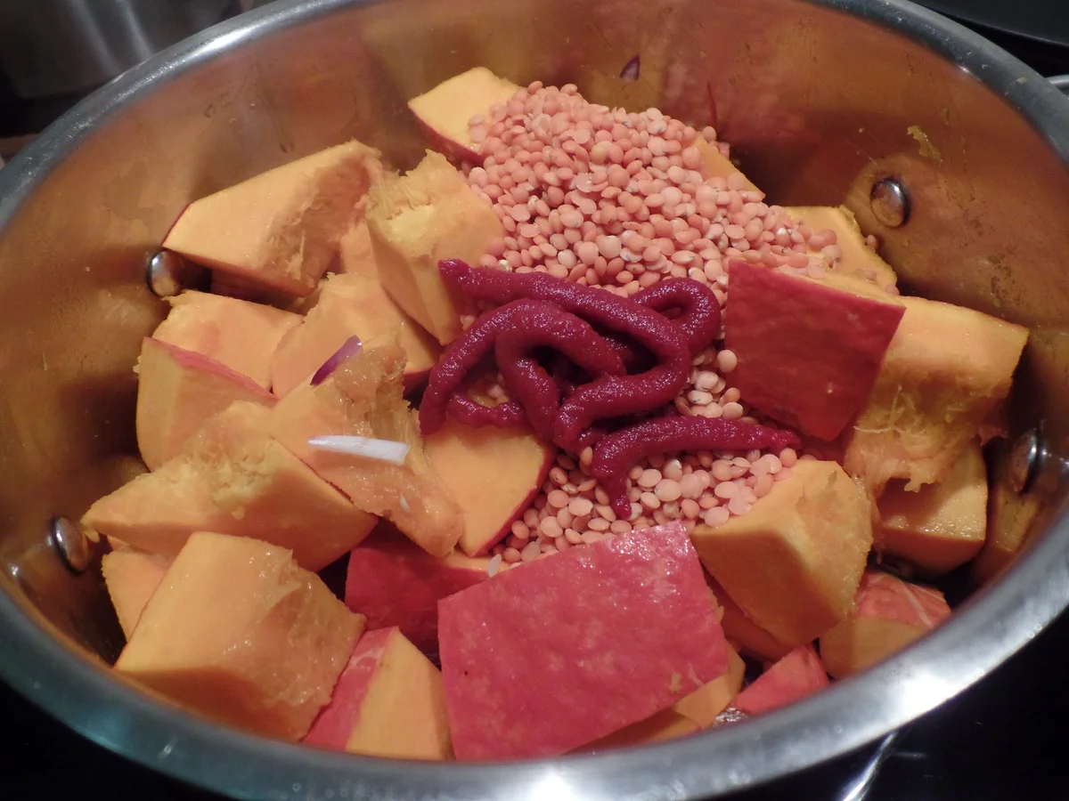 Kürbis-Linsen-Mango-Suppe - Rezept - Bild Nr. 9036