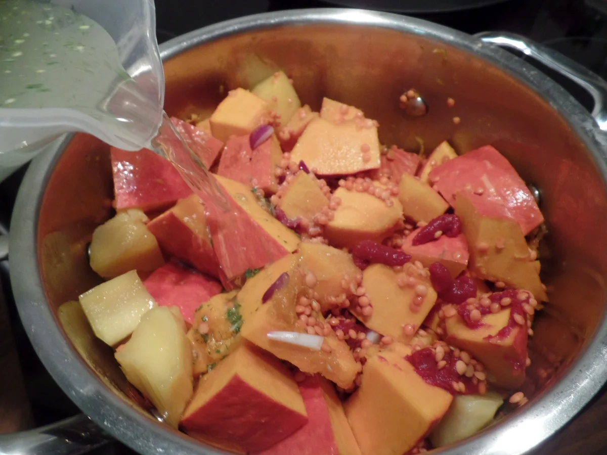 Kürbis-Linsen-Mango-Suppe - Rezept - Bild Nr. 9037