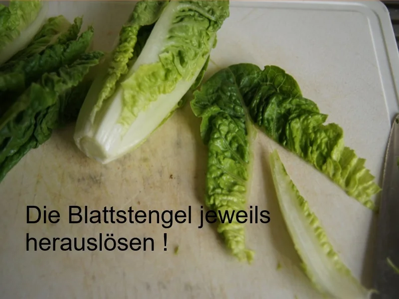 Schlemmerfilet à la Bordelaise mit Kartoffelstampf und mit gemischten Salat - Rezept - Bild Nr. 8