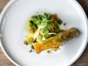 Salat mit Burrata und getrüffelter Pfifferlings-Zigarre (Valentina Pahde) - Rezept - Bild Nr. 2