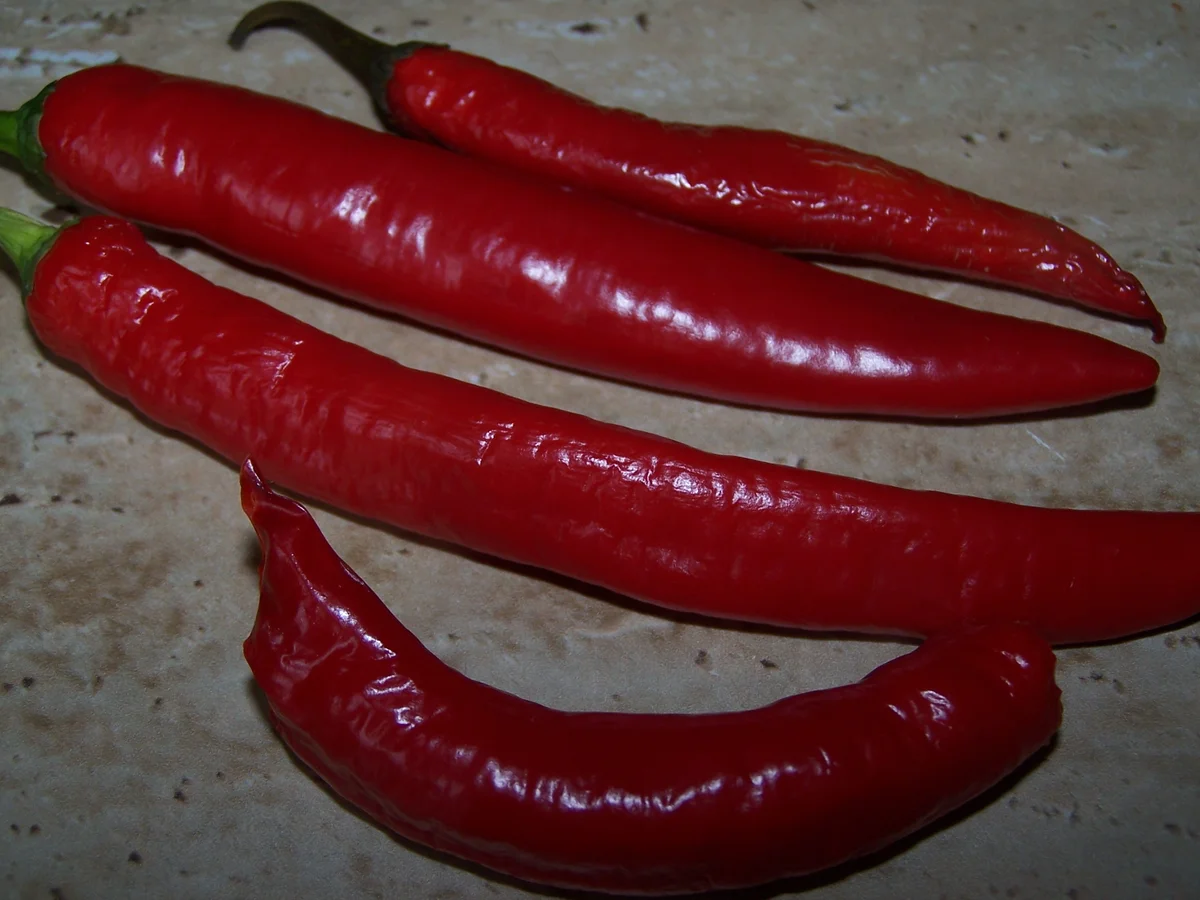 Rezept: Chilli-Salz Bild Nr. 3 Chilli-Salz - Rezept - Bild Nr. 3