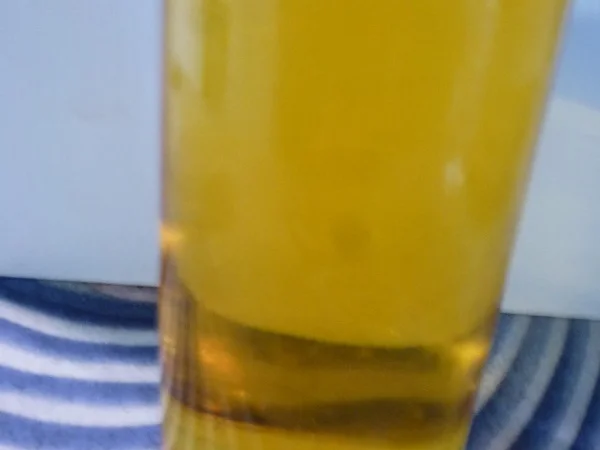 Vielzweck-Chiliöl - Rezept - Bild Nr. 10