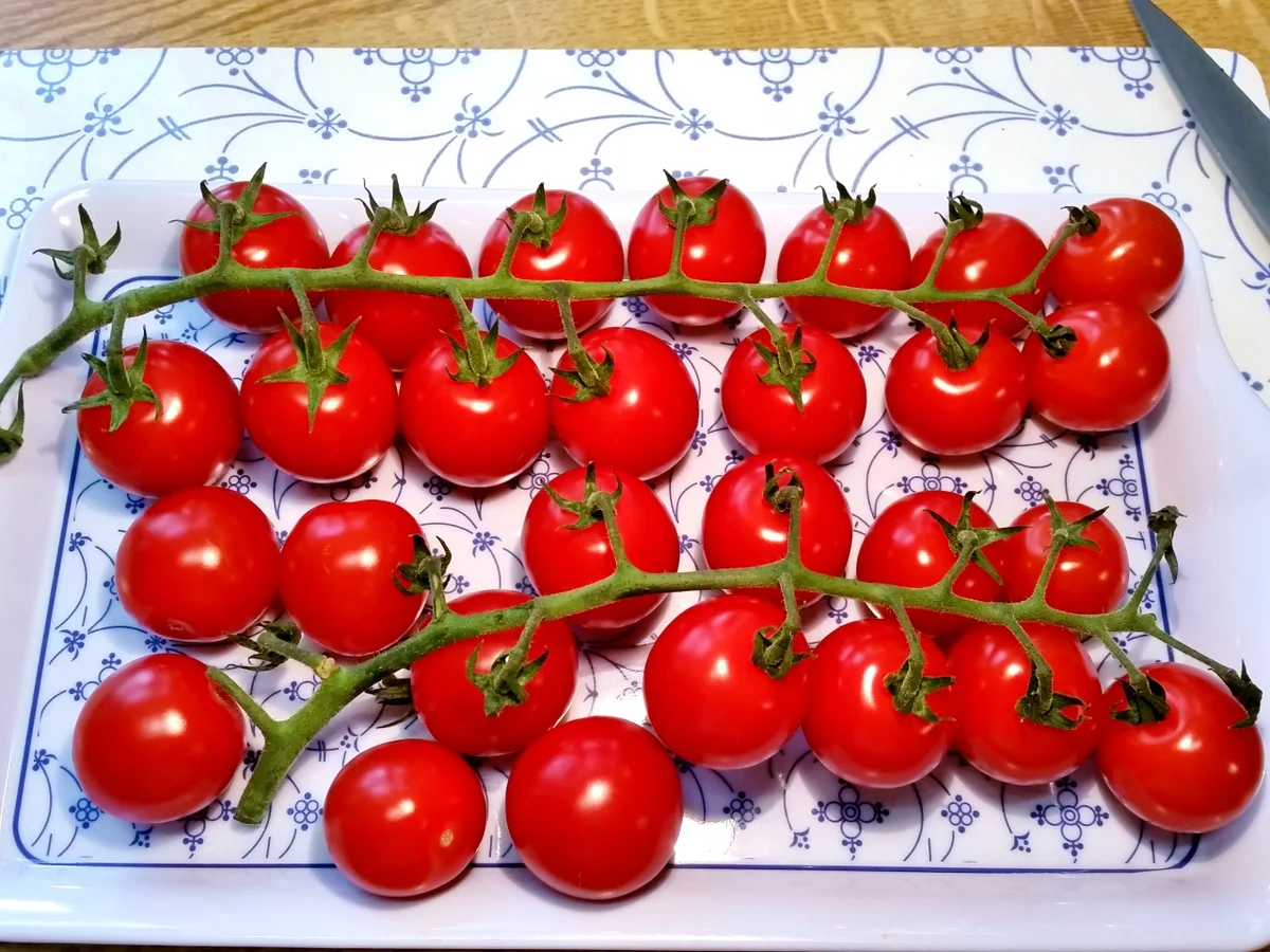 Kirschtomaten mit Basilikum und Frühlingszwiebeln - Rezept - Bild Nr. 9491