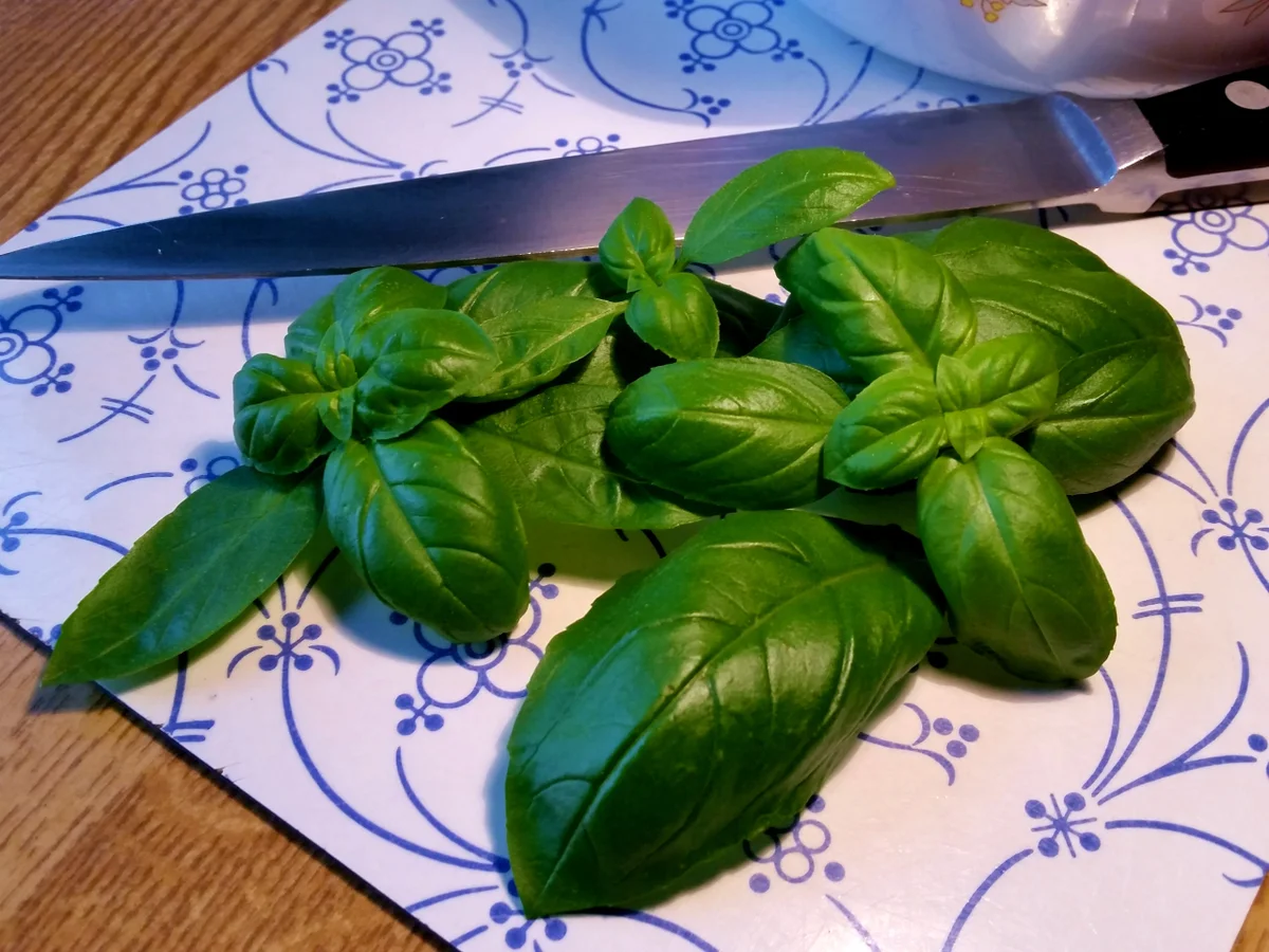Kirschtomaten mit Basilikum und Frühlingszwiebeln - Rezept - Bild Nr. 9493