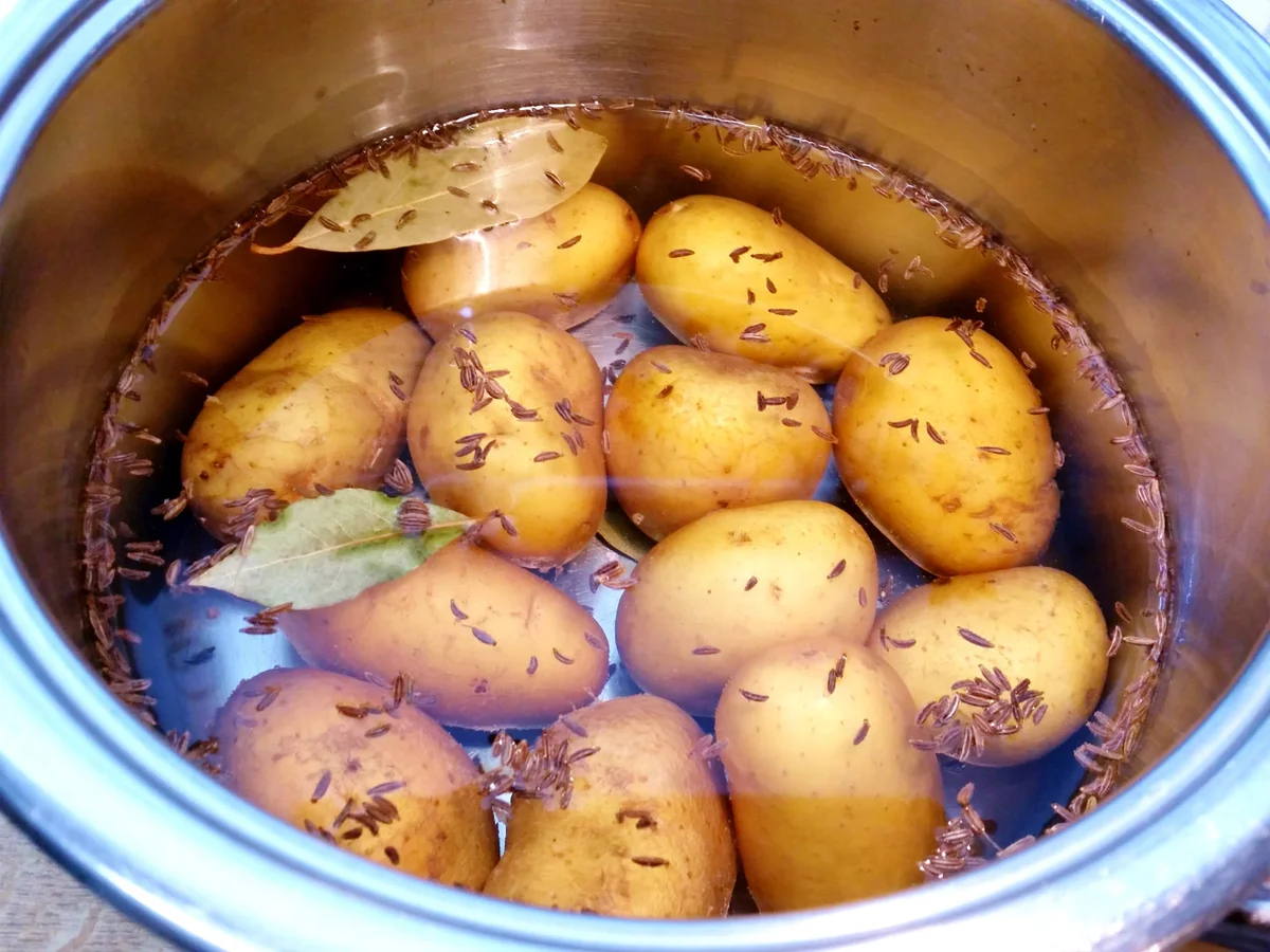 Dip aus frischen Gartenkräutern mit Pellkartoffeln - Rezept - Bild Nr. 6